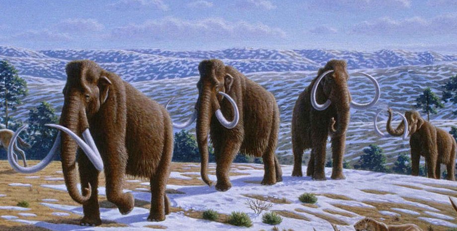 шерстисті мамонти, людина, полювання, ілюстрація