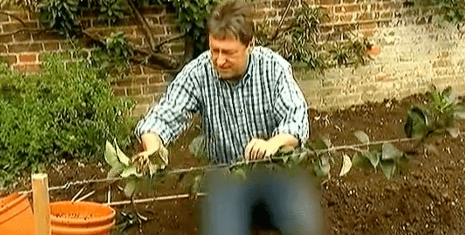 В Северной Корее наложили цензуру на джинсы, джинсовые штаны, блюр, зацензурили штаны, размыли картинку, телеведущий, скрыли джинсы