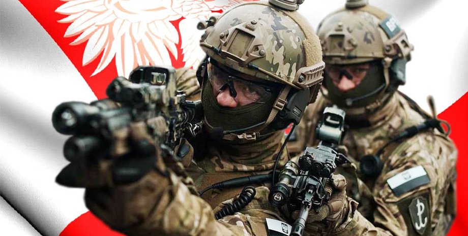 Военные Польши, добровольческий батальон, Польша Украина, война