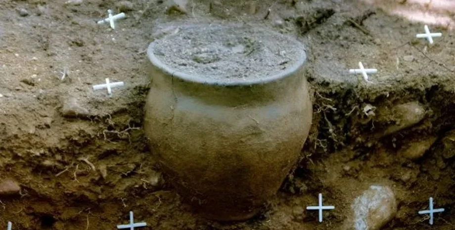 археологи, археологія, Польща, культура, кладовище, поховання, урни, могили, пшеворці, артефакти, знахідки, останки, розкопки