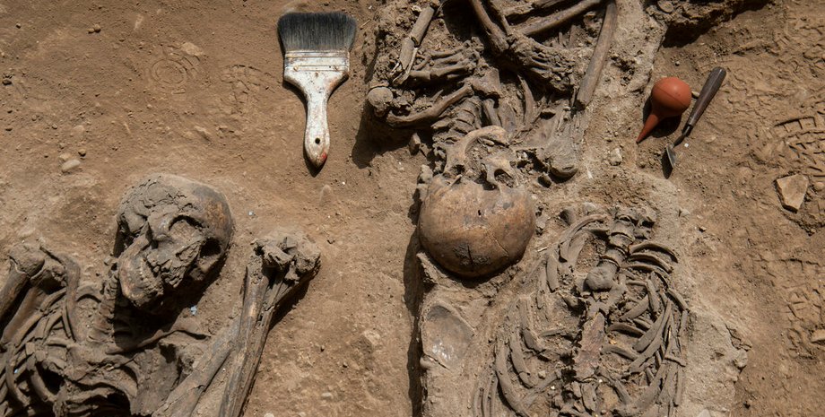 останки, раскопки, кисточки, фото