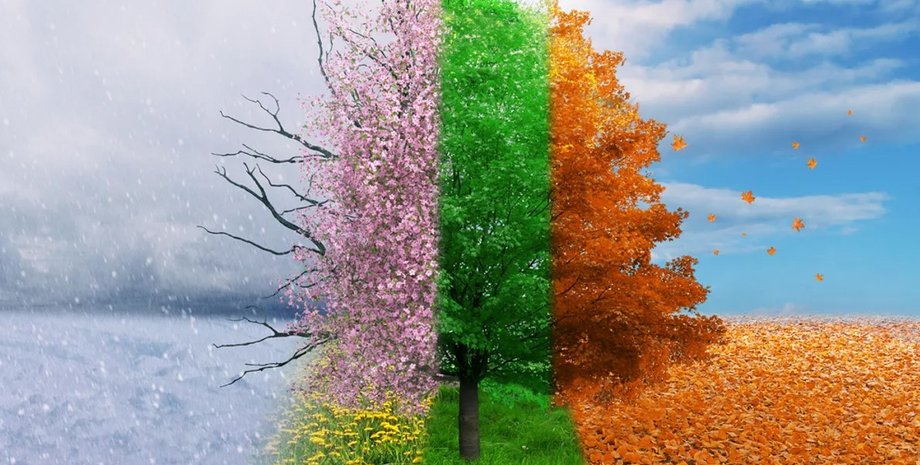 времена года, смена времен года