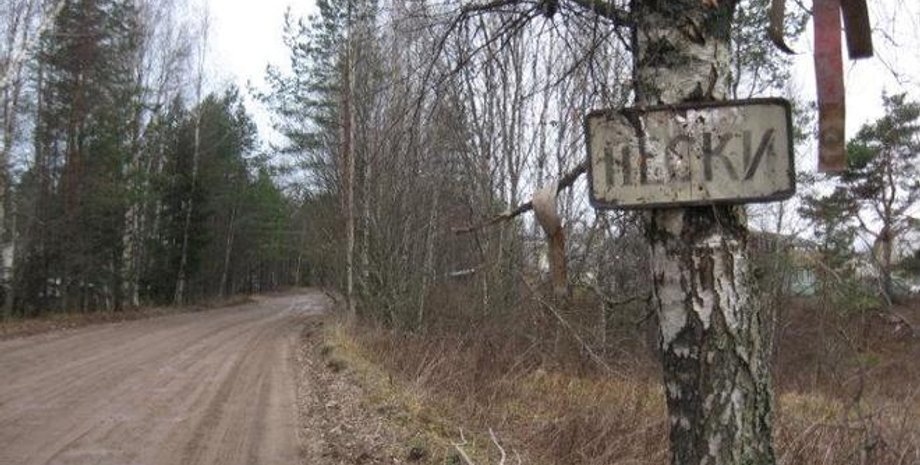 Фото из открытых источников