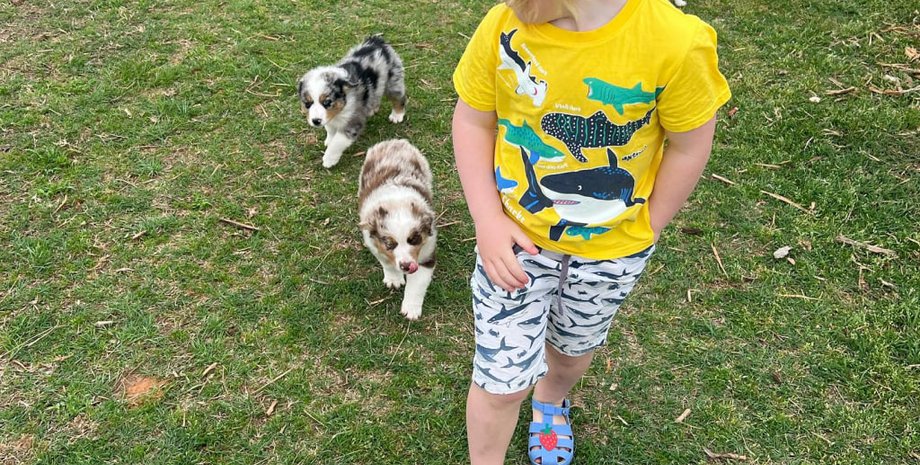 сын Бориса Джонсона, Уилфред Джонсон