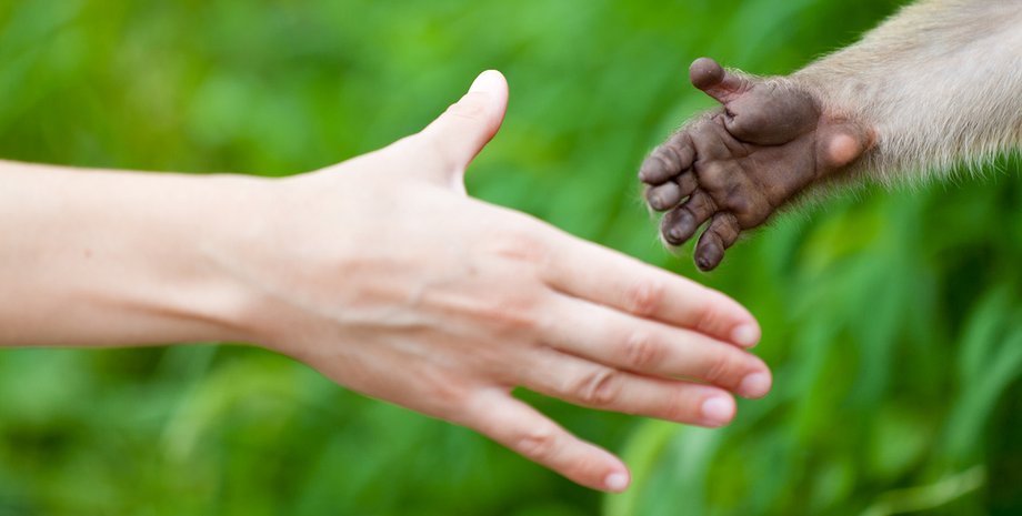 Фото: Laoshi/Getty Images