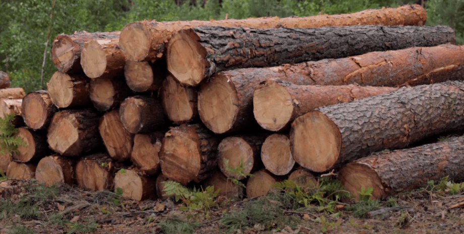 Купить дрова в Украине, заготовка дров, онлайн-магазин дров, дрова для отопления