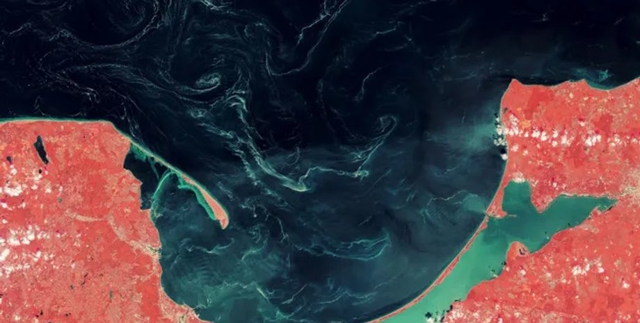 балтийское море из космоса