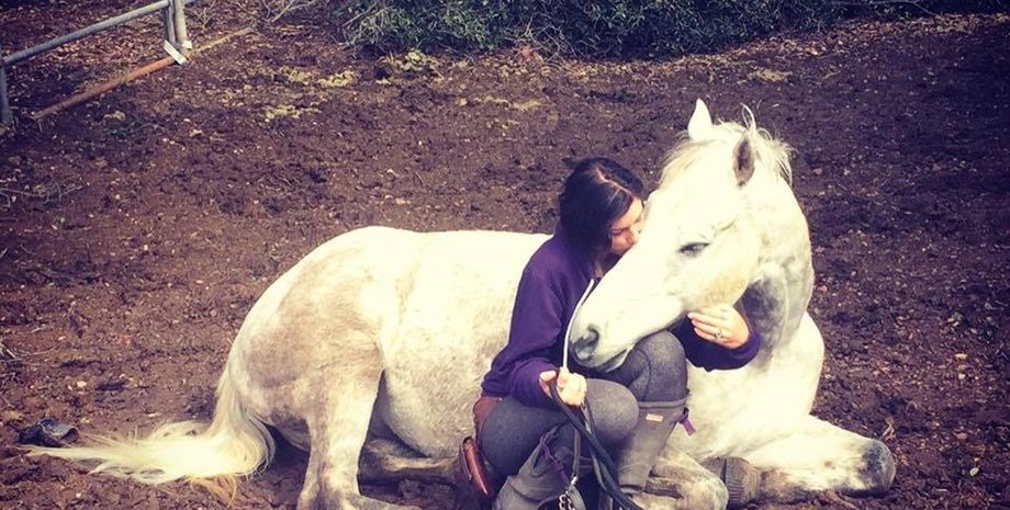 Теа Крізі, кінь