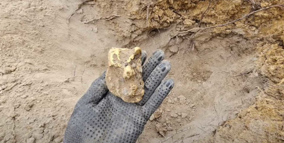 Люк Филлипс нашел золотой самородок, поиск сокровищ, находка, Австралия, курьезные истории, мужчина разбогател