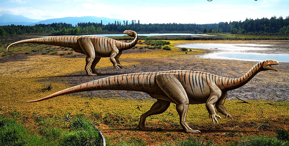 Иллюстрация: Mohamad Haghani