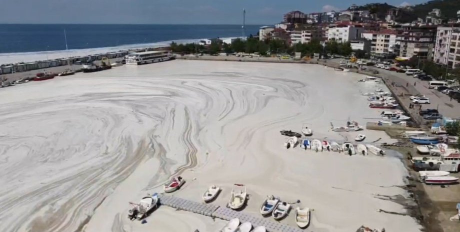 Мраморное море, Турция, слизь, морские сопли