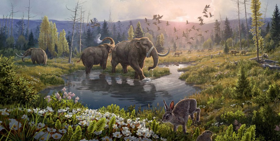 земля, мир, исследование