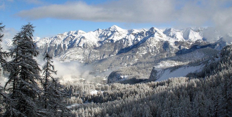 Фото: bounty-da.dp.ua