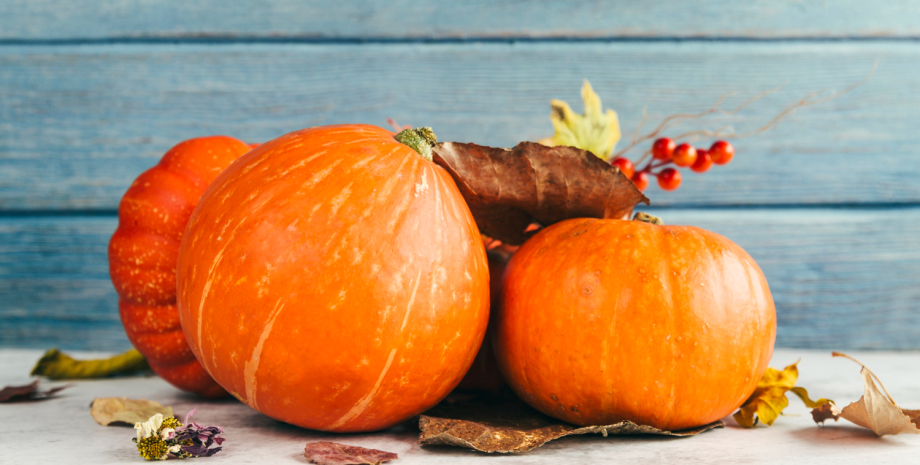 Який гарбуз найкорисніший Гарбуз, найкорисніший гарбуз, гарбуз користь, види гарбуза сорти гарбуза