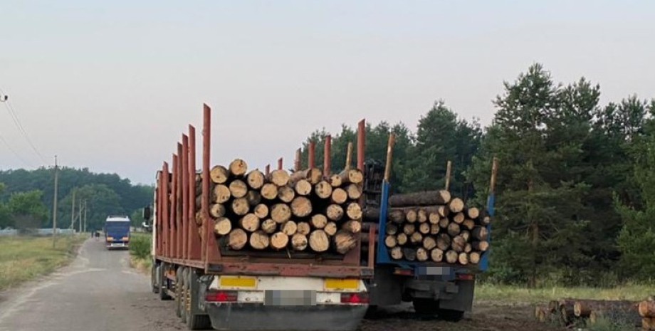 "Ліси України" і біржа знищують галузь в Україні