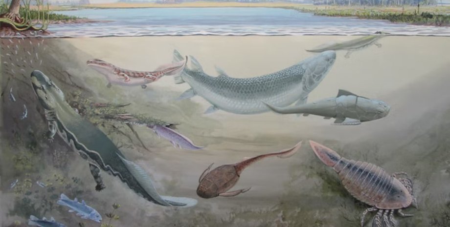 палеонтология, находка, окаменелости, древние животные, археология