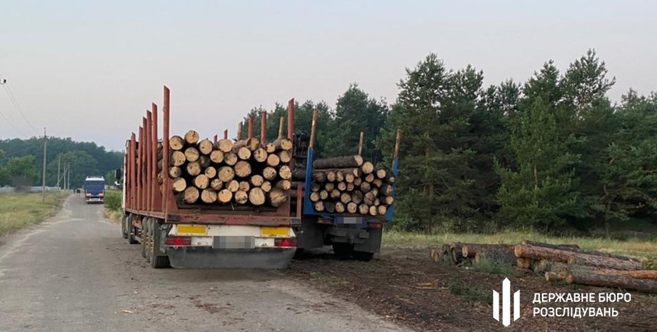 "Ліси України" и биржа уничтожают отрасль в Украине