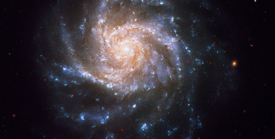 спіральна галактика NGC 1376