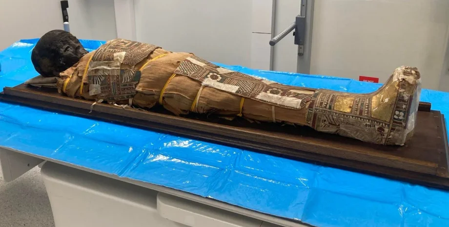 Вчені дослідили 2000-річну мумію