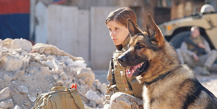 Кадр из фильма "Меган Ливи"