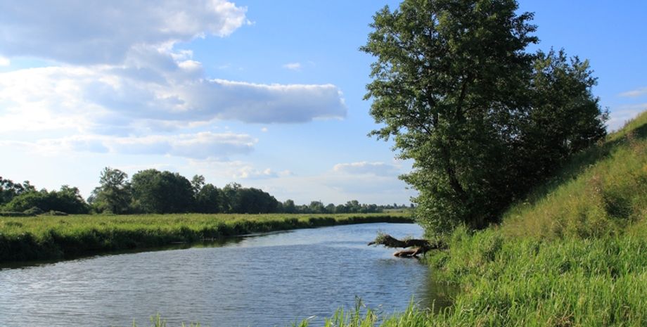 Река Хомора / Фото: uk.wikipedia.org