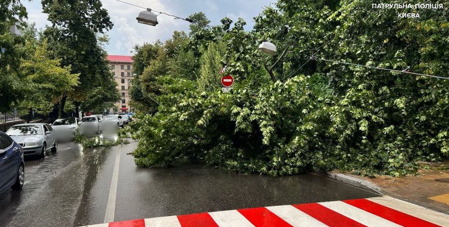 В Киеве ливень и ураган повалили деревья