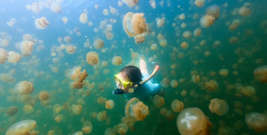 озеро, озеро медуз