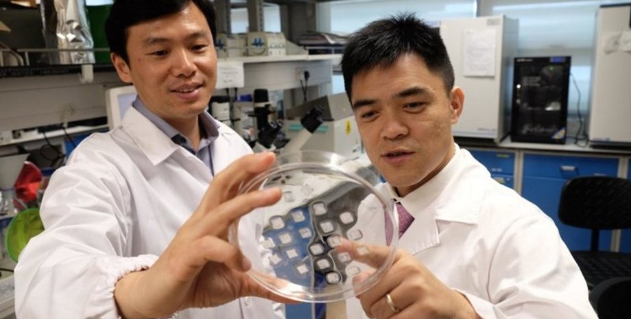 Фото: Small Methods