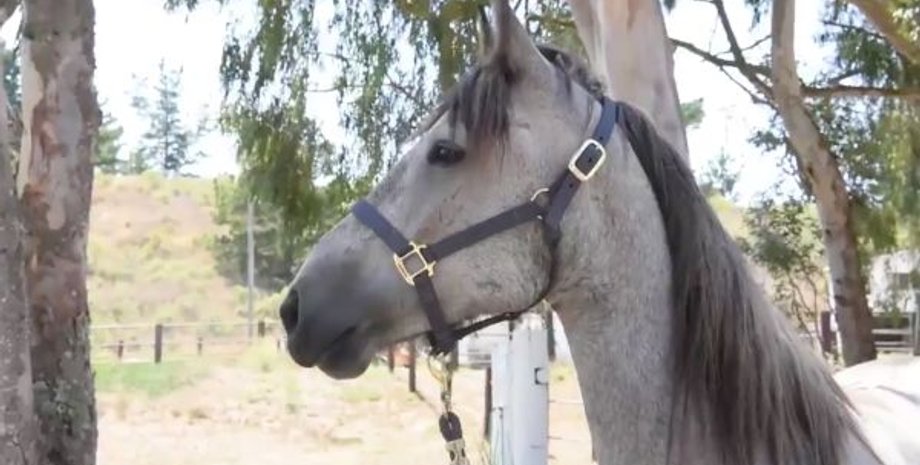 Скриншот видео Space.com.