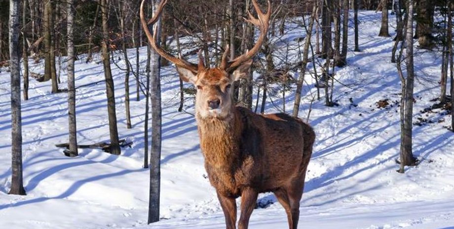 Фото: national-travel.ru