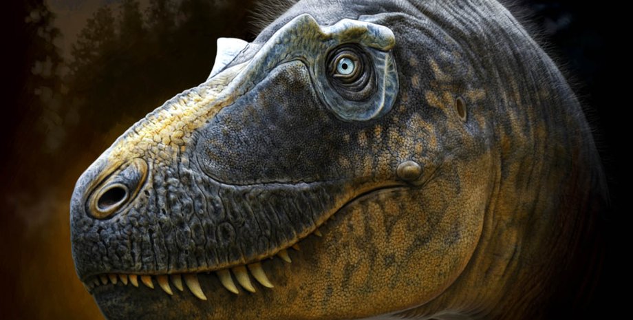 динозавры, эволюция, древние животные, исследование, интеллект, ум, млекопитающие, интеллект динозавров, познание динозавров, интеллект динозавров, познание динозавров