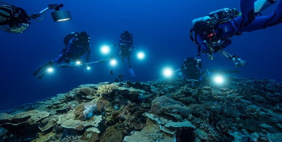 океан, сумеречная зона океана