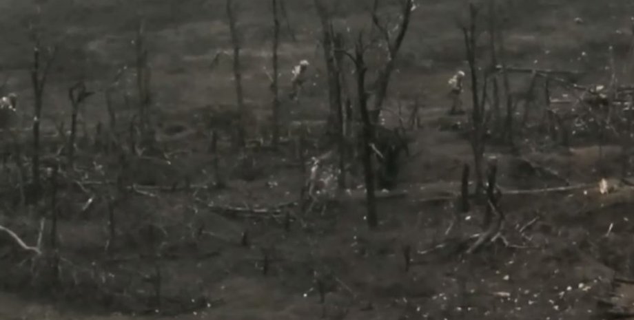 ссо, спецоперация, позиции, ссс рф, российские десантники