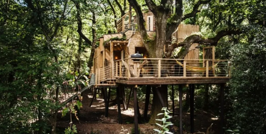 Роскошный дом на дереве, жилье, аренда, недвижимость, фото, Великобритания, туризм, путешествия, интересные локации, Великобритания, туризм, путешествия