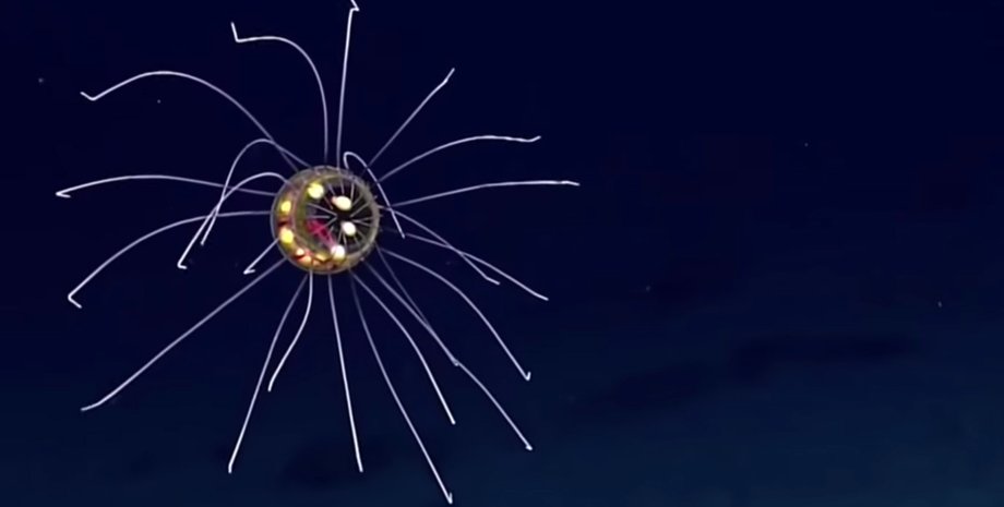 Кадр из видео