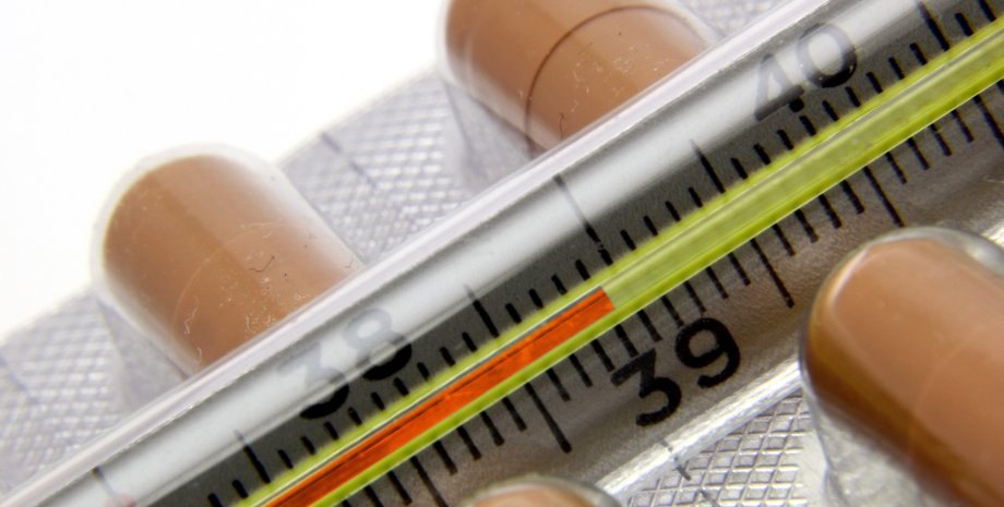 Фото: torange.biz