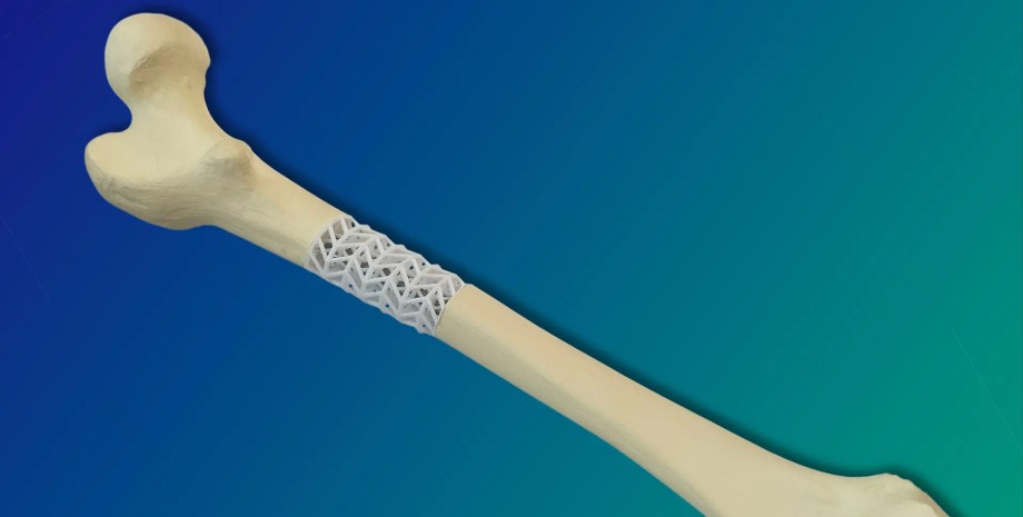 кость материал