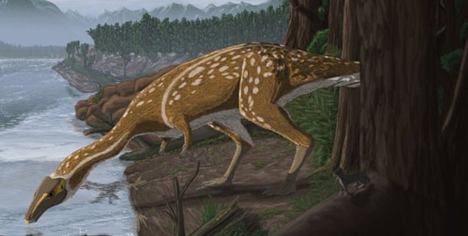 Фото: Музей Виктории