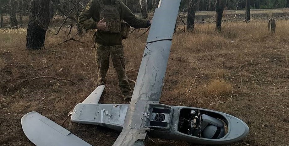 Знищений БПЛА, Мерлін-ВР, фото