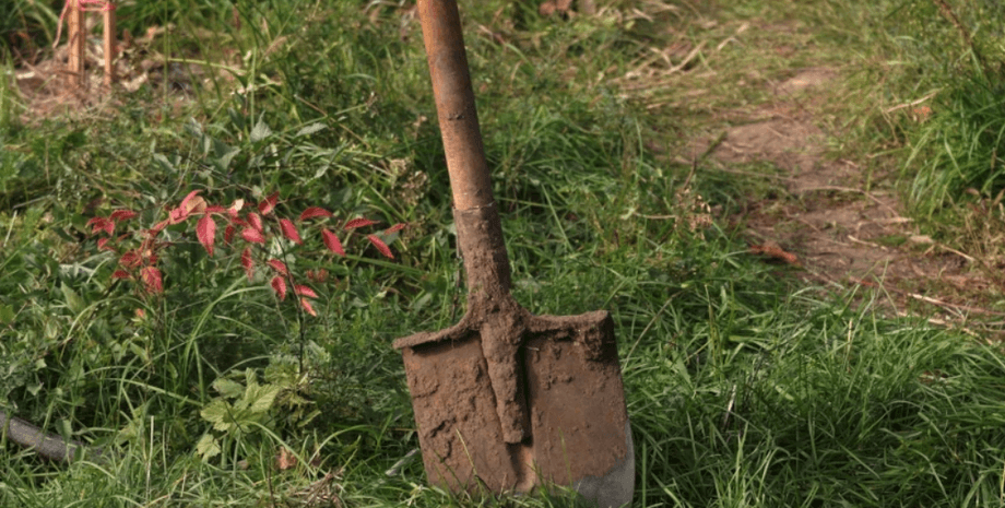 Мужчина нашел жуткую капсулу времени в саду: содержимое напугало его еще больше