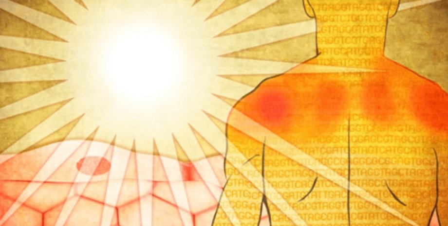 кожа, ожог кожи, солнце, защита от солнца