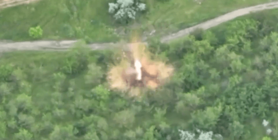 знищення д-20