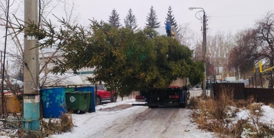 Новорічна ялинка, різдвяна ялинка, ялинка, Уфа