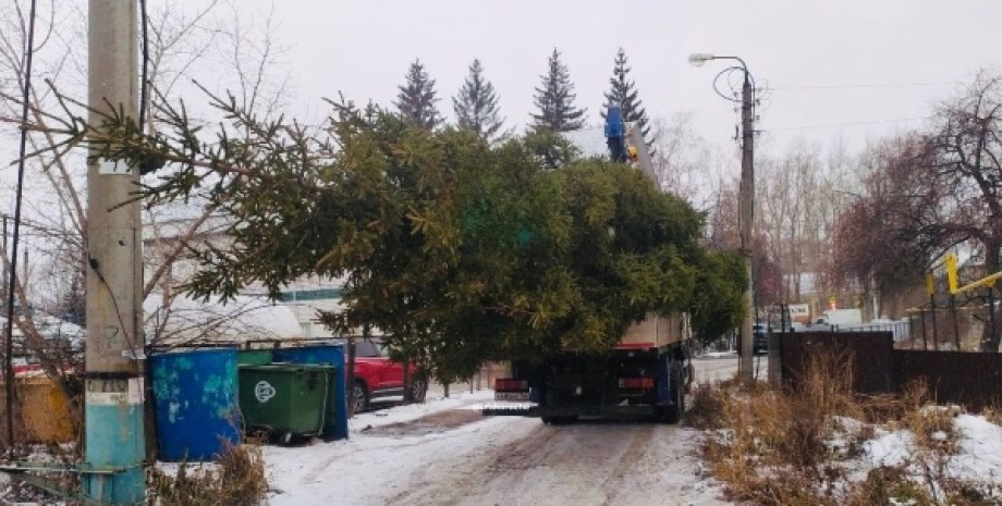 Новогодняя елка, рождественская елка, елка, Уфа