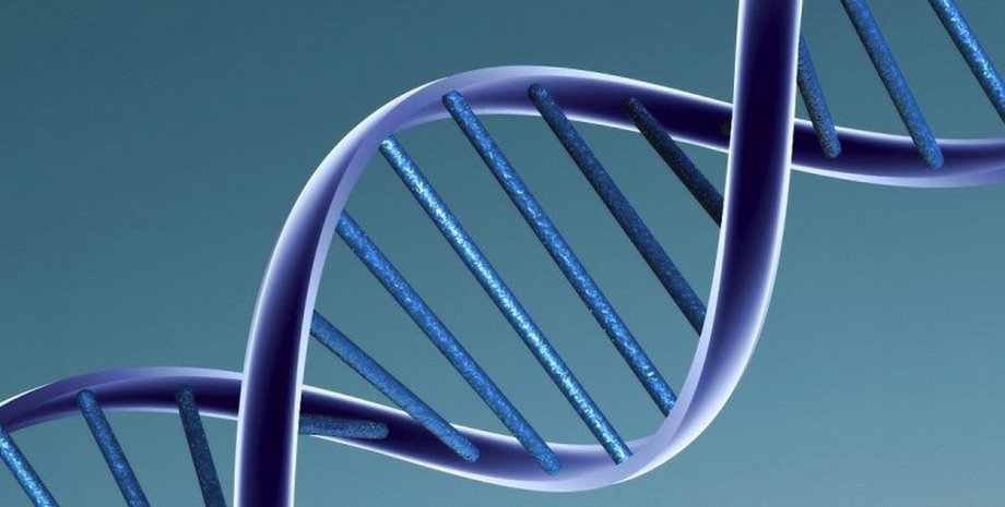 Flickr/Caroline Davis