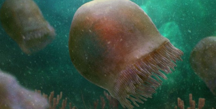 медуза, стародавня медуза