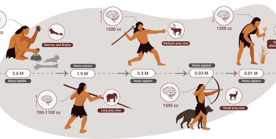 хищники, собиратели, вегетарианцы, древние люди, диета, пища