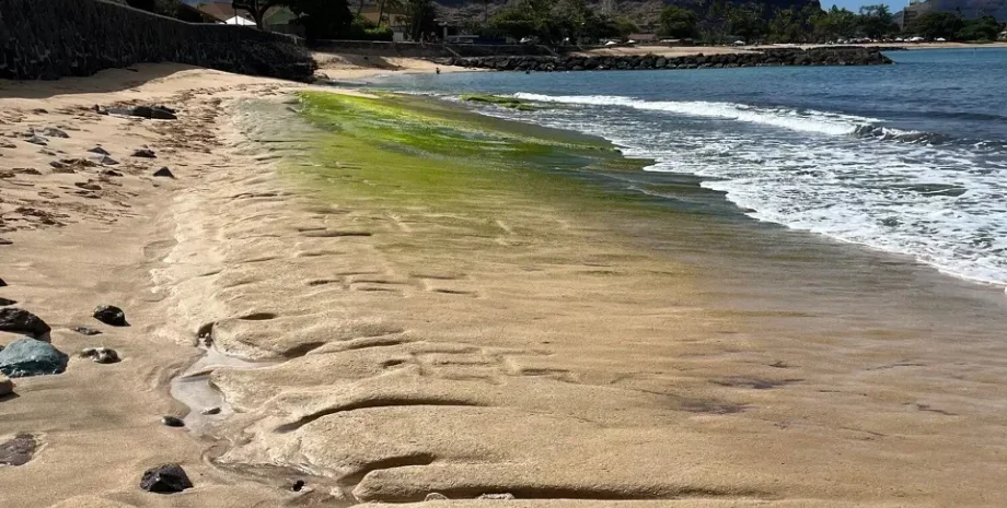 Петроглифы Гавайи