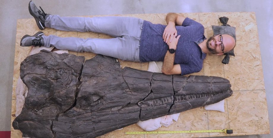 іхтіозавр, рептилія