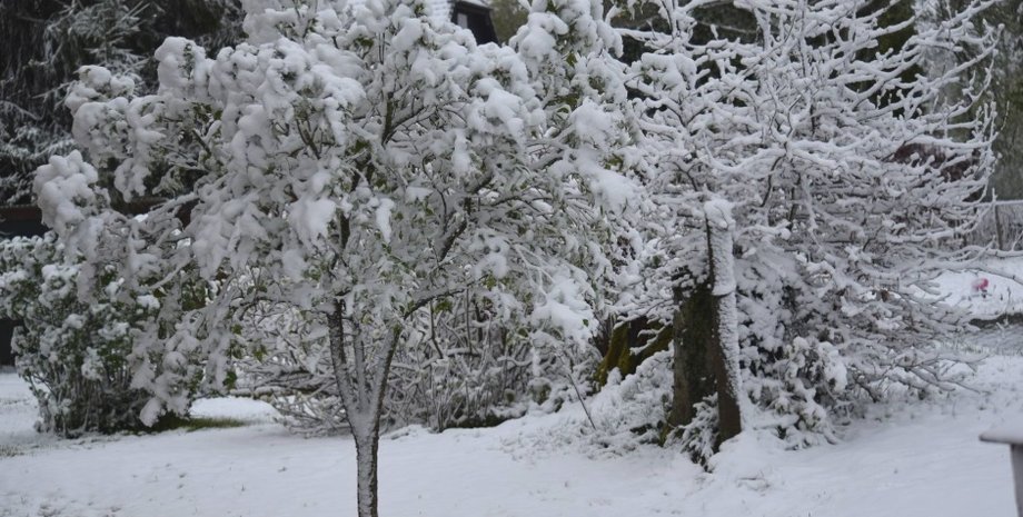 Фото: RTBF/Georges Betta